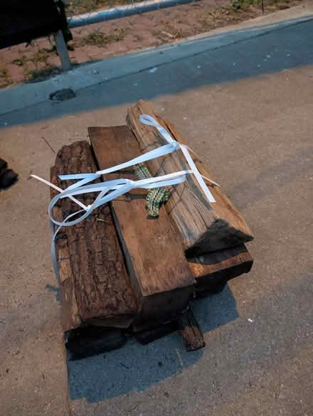 Photo of free Firewood bundle (Park View - Colombia Heights) #1