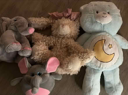 Photo of free Cuddly toys (Bexleyheath DA7) #1