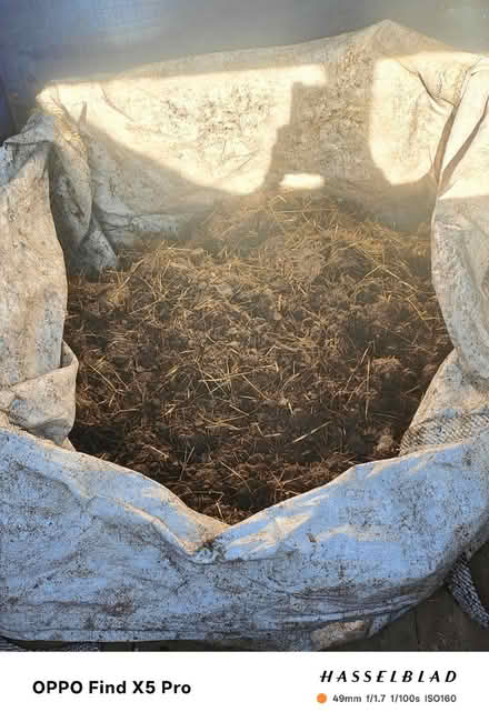 Photo of free Goat manure (Keighley) #1