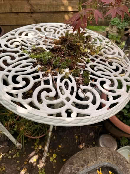 Photo of free Cast Table & chair (hole in middle) (Orpington) #2