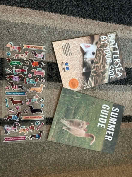 Photo of free Lots of Free items (Jennetts park RG12) #3