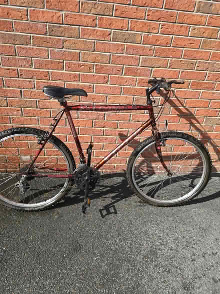 Photo of free Hybrid Bike - Falcon Viper (Warrington) #1