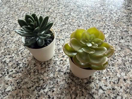 Photo of free 2 artificial plant pots (Hitchin SG4) #3