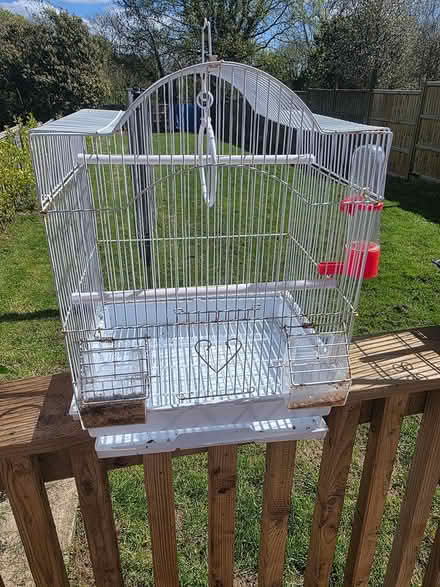 Photo of free Small bird cage (Rolvenden TN17) #1