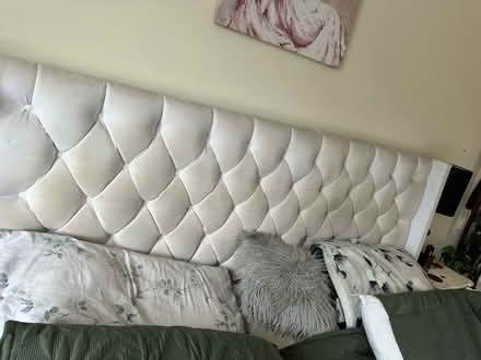 Photo of free Super king bed and mattress (Markfield LE67) #1