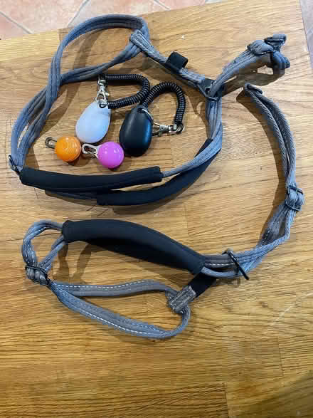 Photo of free Puppy Harnesses (Arundel BN18) #1