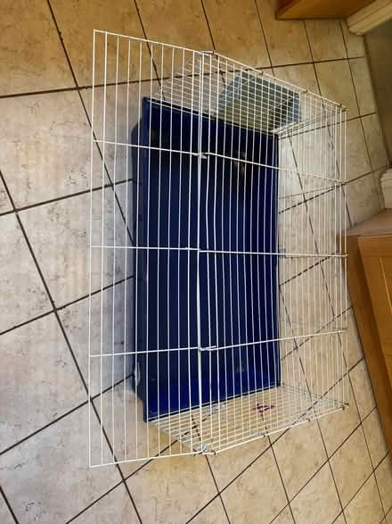 Photo of free Ferplast guinea pig cage (Woodley RG5) #1