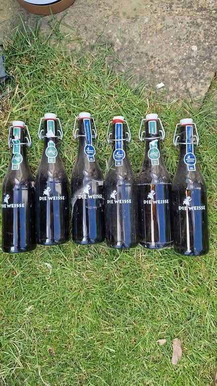Photo of free 6 grolsh type beer bottles (TN40 chantry Bexhill) #1