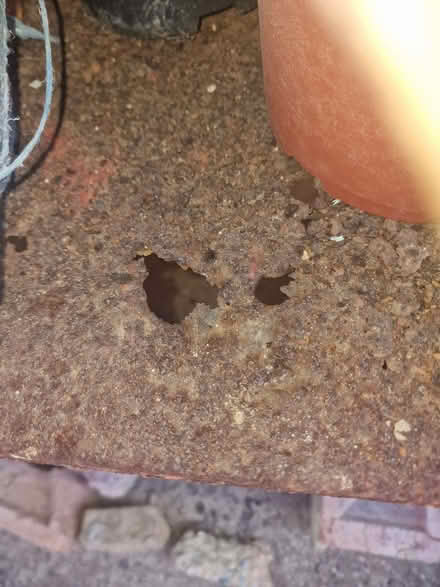 Photo of free Racking quite rusty but holds weight (Seaford BN25) #2