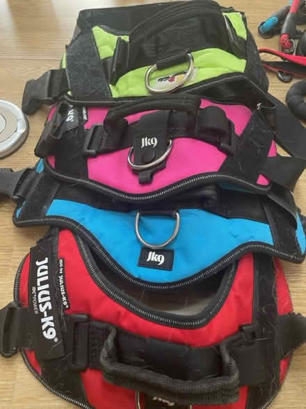 Photo of free Various dog accessories (Monkseaton NE25) #1