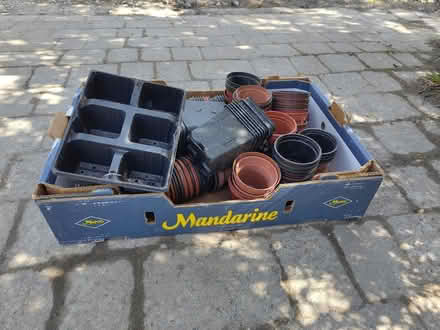 Photo of free Assorted plant pots (Pensby CH61) #1