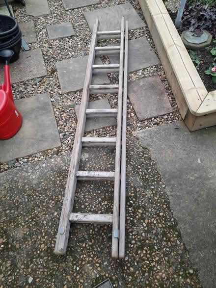 Photo of free Ladder (Golden Green) #2