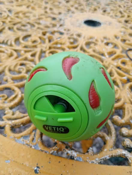 Photo of free Small animal treat ball (Quernmore LA2) #1