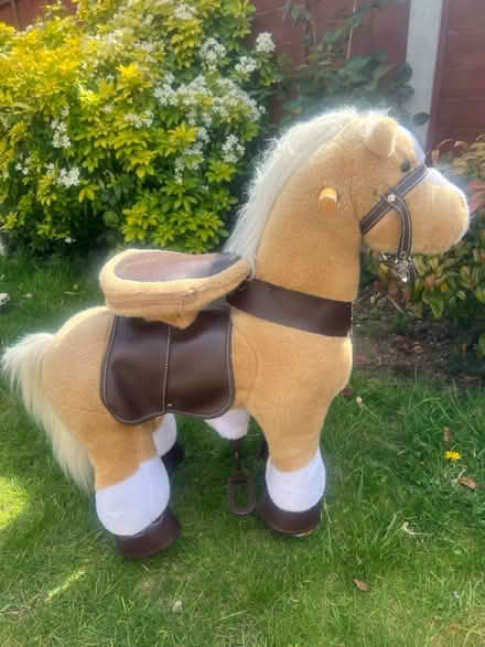 Photo of free Play horse (Sidcup DA15) #1