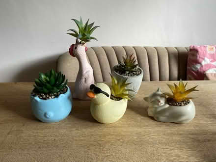 Photo of free Artificial plants (Weston) #1