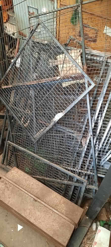 Photo of free Large degu or rat cage (Walsall Delves WS5) #1