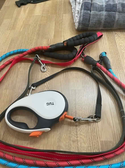 Photo of free Various dog accessories (Monkseaton NE25) #2