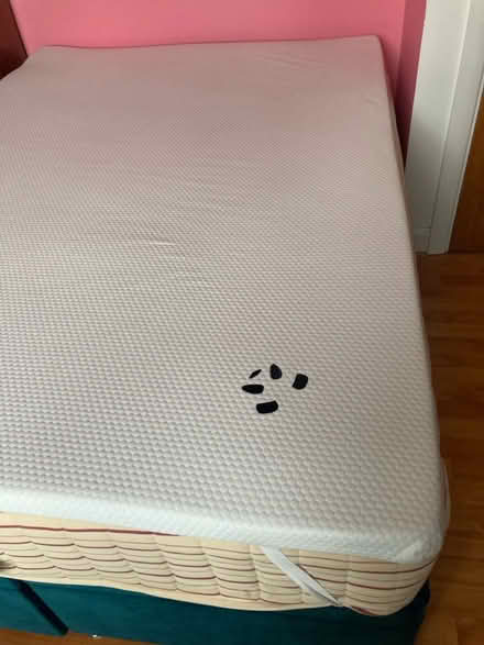 Photo of free Panda mattress topper, double (Sydenham se26) #1