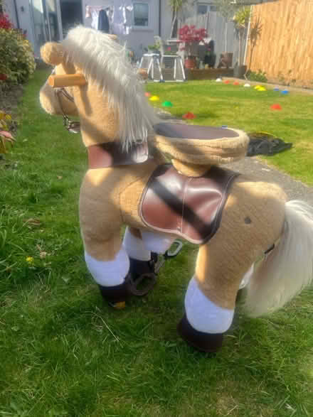 Photo of free Play horse (Sidcup DA15) #2