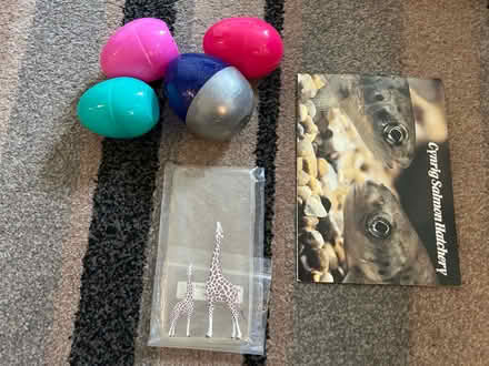 Photo of free Lots of Free items (Jennetts park RG12) #4
