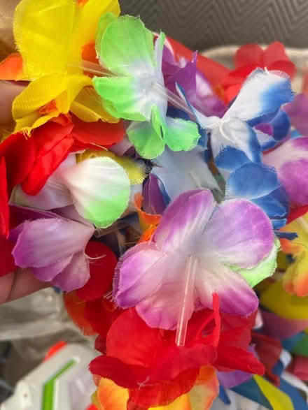 Photo of free Decorative items (Ub60ln) #1