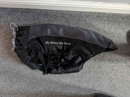 Photo of free Dog Coat, Large (Kiveton Park, S26) #1