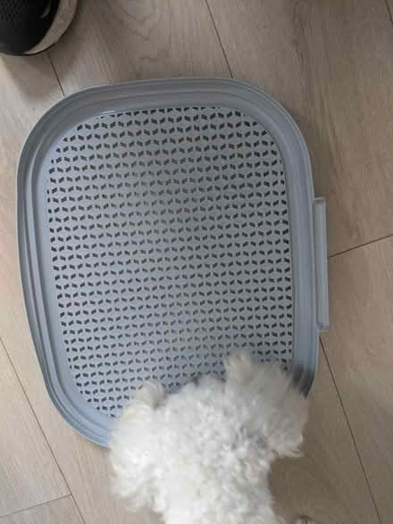 Photo of free Brand new, unused bin / basket lid (EH5, Granton, Edinburgh) #1