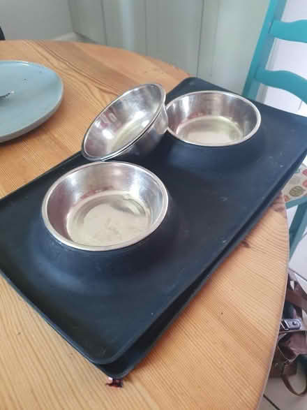 Photo of free Various Cat Bits (Eastergate PO20 3AA) #2