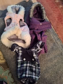 Photo of free s-m dog coats and jammies #1