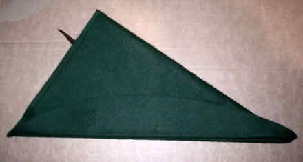 Photo of free Robin Hood Hat (OX14 Long Wittenham) #2