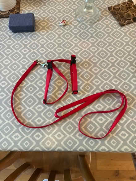 Photo of free Cat or very small dog harness & lead (ME13) #1
