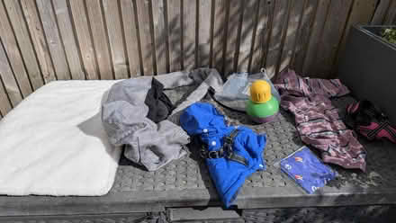 Photo of free Small Dog Accessories (Ashford TN25) #1
