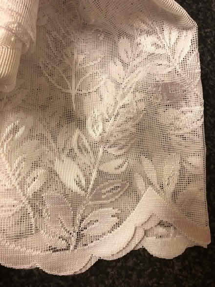 Photo of free Net curtains #2 (Cambridge CB1) #2
