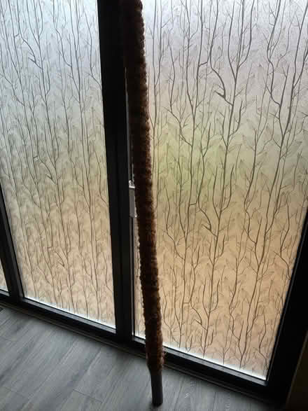 Photo of free Tall coir grow pole – great for climbing plants (Berwick Grange SY1) #1