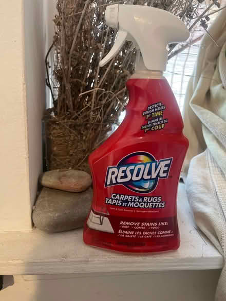 Photo of free rug cleaner (bloor & ossington) #1