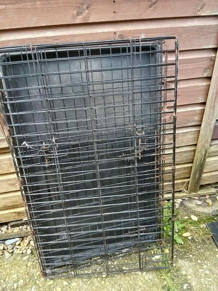 Photo of free Medium dog crate (Dorchester DT2) #1