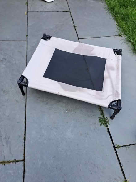 Photo of free Raised dog bed (Codicote SG4) #1
