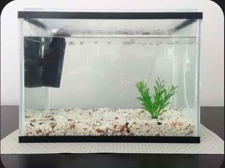 Photo of Fish tank (Kittybrewster AB24) #1