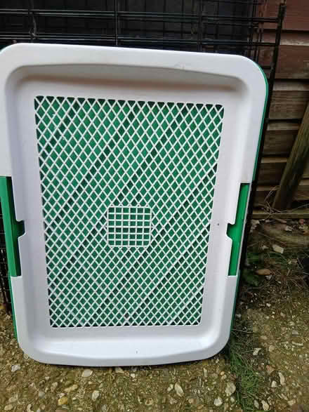 Photo of free Dog toilet area (Dorchester DT2) #1