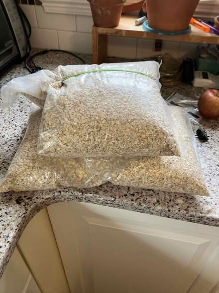 Photo of free Instant oatmeal (Arlington/West Medford line) #1