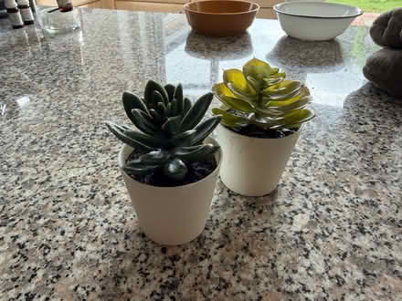 Photo of free 2 artificial plant pots (Hitchin SG4) #1