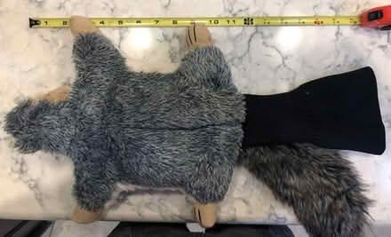 Photo of free Pupr Pals squirrel toy for dog or cat [20886] #1