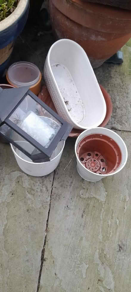 Photo of free Garden baskets etc (Welling DA16) #3