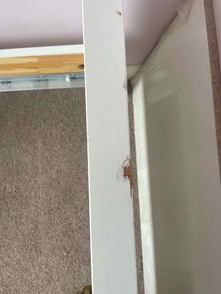 Photo of free Kid's Bed (Pelaw NE10) #3