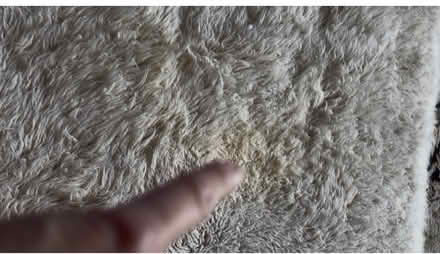 Photo of free Soft furry rug (Tanner plantation, Hanahan sc) #3
