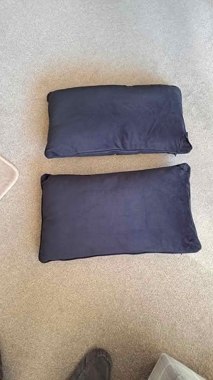 Photo of free X2 brand new cushions (Littlehaven) #1