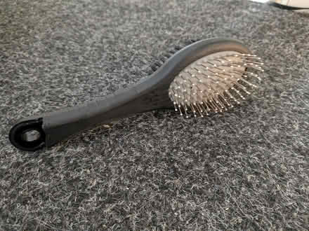Photo of free Dog hair brush (Manchester M19) #1