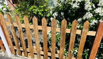 Photo of Medium oak fence paint (Stevenage SG2) #1