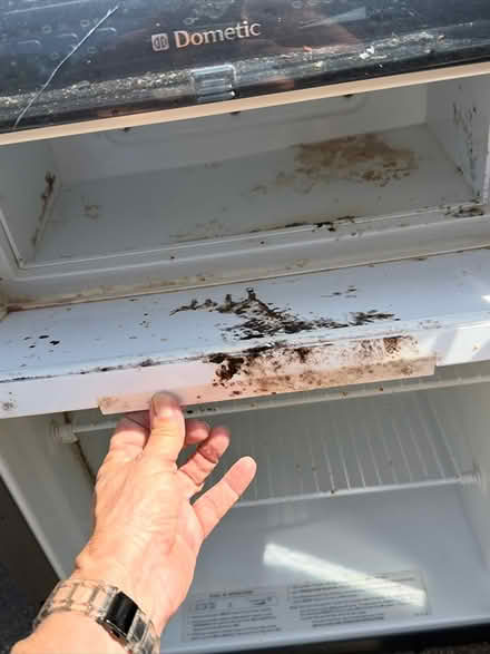 Photo of free WORKING Dometic Fridge (La Selva Beach) #3