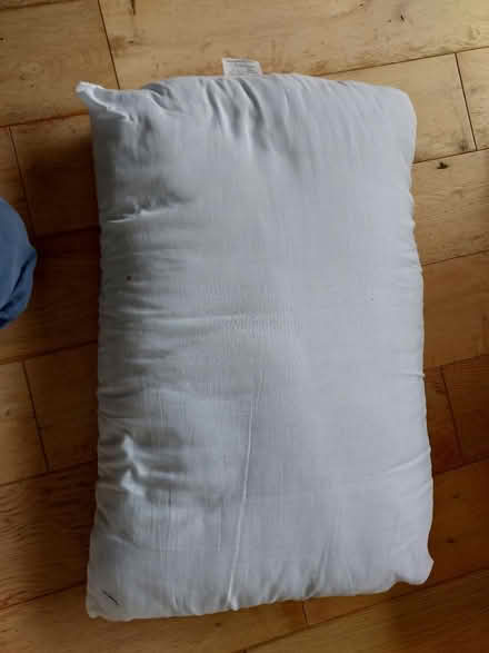 Photo of free Slumbering pillow (Kilmacanogue, North Co Wicklow) #1